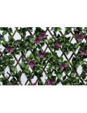 Gardin Πέργκολα Bougainvillea Willow Fence 100x200cm (Μ x Π)