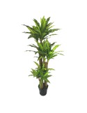 Gardin Τεχνητή Δράκαινα 185cm - AB06185