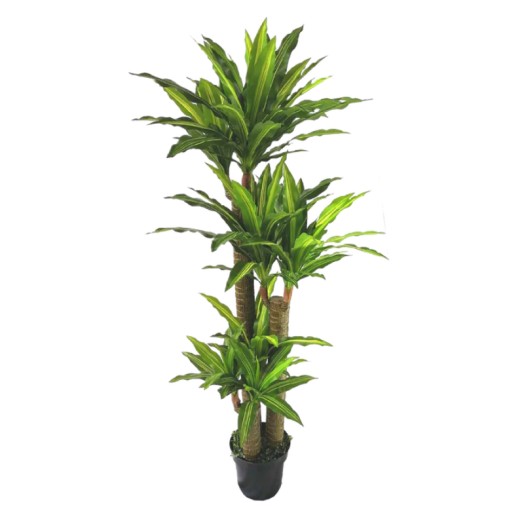 Gardin Τεχνητή Δράκαινα 185cm - AB06185